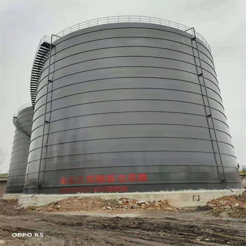 潼关3万吨大型钢板库