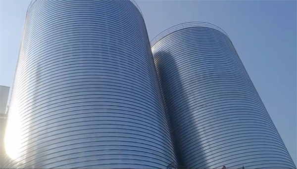 潼关2座混凝土高架卷板仓